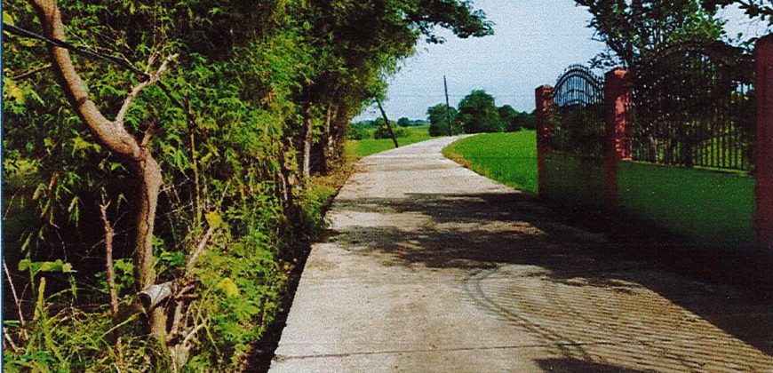 Foreclosed Residential Lot in San Miguel, Bulacan