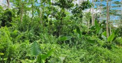 Foreclosed Agricultural Lot in Prosperidad, Agusan del Sur