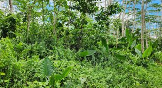 Foreclosed Agricultural Lot in Prosperidad, Agusan del Sur (Philippine Veterans Bank)
