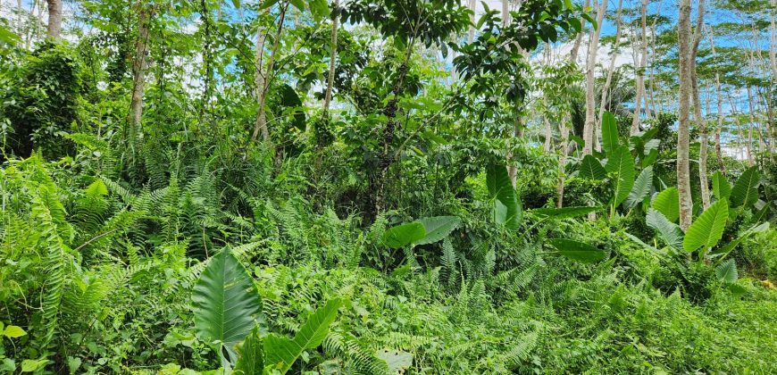 Foreclosed Agricultural Lot in Prosperidad, Agusan del Sur
