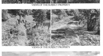 Foreclosed Agricultural Lot in Barotac Viejo, Iloilo (Philippine Veterans Bank) #10
