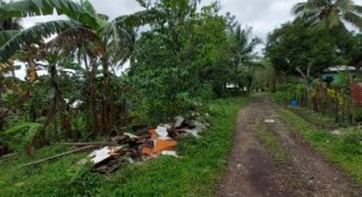 Foreclosed Residential Lot in Daraga, Albay, Luzon #67