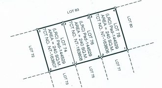 Foreclosed Residential Lot in San Antonio, Nueva Ecija · Lot 78 (Philippine Veterans Bank)