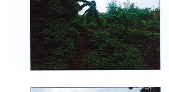 Foreclosed Agricultural Lot in Barotac Viejo, Iloilo (Philippine Veterans Bank) #4