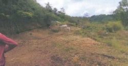 Foreclosed Residential Lot in Laurel, Batangas · Lot 12A Block 20 (Philippine Veterans Bank)