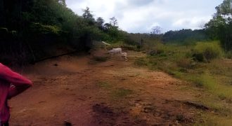 Foreclosed Residential Lot in Laurel, Batangas