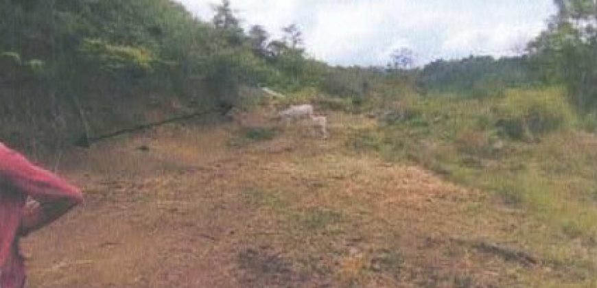 Foreclosed Residential Lot in Laurel, Batangas · Lot 12A Block 20 (Philippine Veterans Bank)