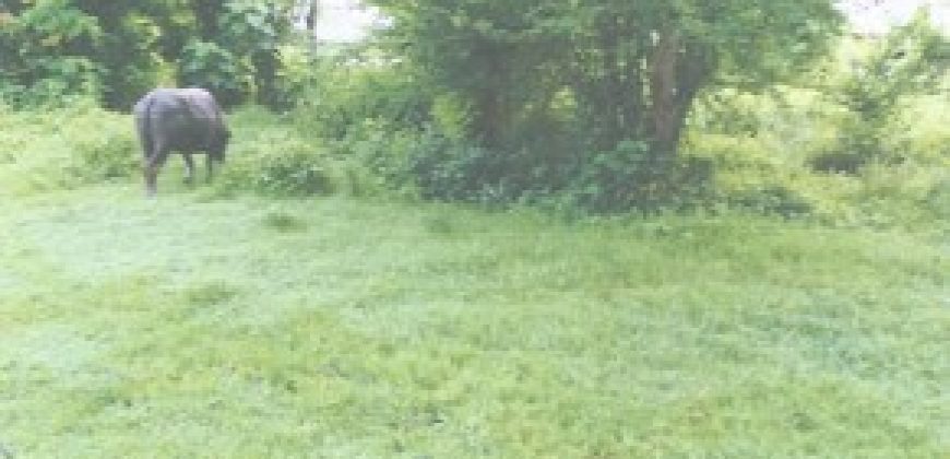 Foreclosed Residential Lot in San Jose, Occidental Mindoro · Lot 14 (Philippine Veterans Bank)