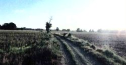 Foreclosed Residential Lot in San Jose, Occidental Mindoro