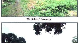 Foreclosed Agricultural Lot in Malasiqui, Pangasinan (Philippine Veterans Bank)