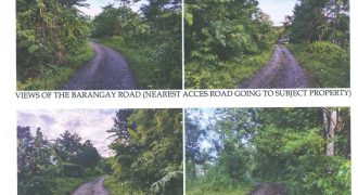 Foreclosed Agricultural Lot in Calinog, Iloilo · Lot 7192 (Philippine Veterans Bank)
