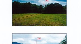 Foreclosed Agricultural Lot in Sibalom, Antique (Philippine Veterans Bank)