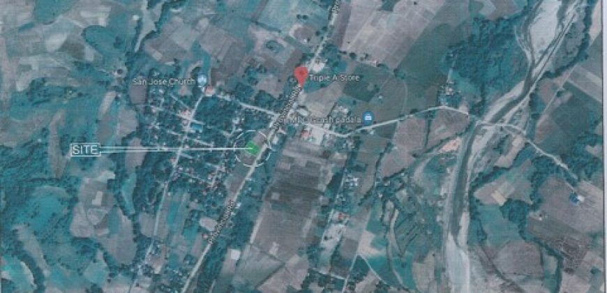 Foreclosed Residential Lot in San Jose, Occidental Mindoro · Lot 29 Blk 24 (Philippine Veterans Bank)