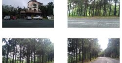 Foreclosed Residential Lot in Tagaytay City, Cavite, Luzon #7