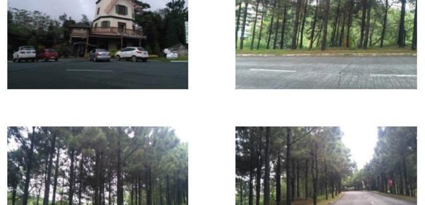 Foreclosed Residential Lot in Tagaytay City, Cavite, Luzon #7