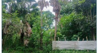 Foreclosed Residential Lot in Santiago, Isabela (Philippine Veterans Bank)