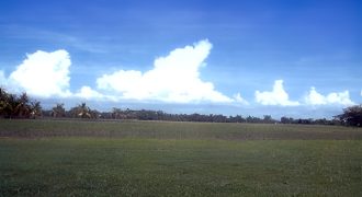 Foreclosed Agricultural Lot in Mallig, Isabela