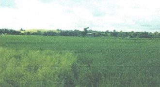 Foreclosed Residential Lot in Abra de Ilog, Occidental Mindoro (Philippine Veterans Bank)