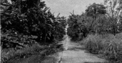 Foreclosed Residential Lot in Laurel, Batangas · Lot 12-A Block 6 (Philippine Veterans Bank)