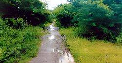 Foreclosed Residential Lot in San Jose, Occidental Mindoro