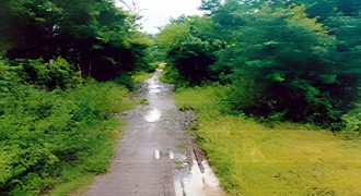 Foreclosed Residential Lot in San Jose, Occidental Mindoro