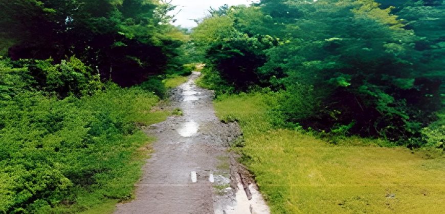 Foreclosed Residential Lot in San Jose, Occidental Mindoro