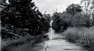 Foreclosed Residential Lot in Laurel, Batangas