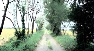 Foreclosed Agricultural Lot in San Jose, Occidental Mindoro