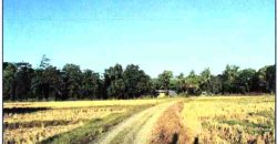 Foreclosed Residential Lot in San Jose, Occidental Mindoro