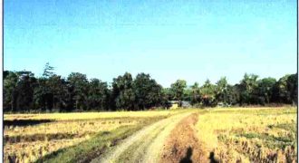 Foreclosed Residential Lot in San Jose, Occidental Mindoro