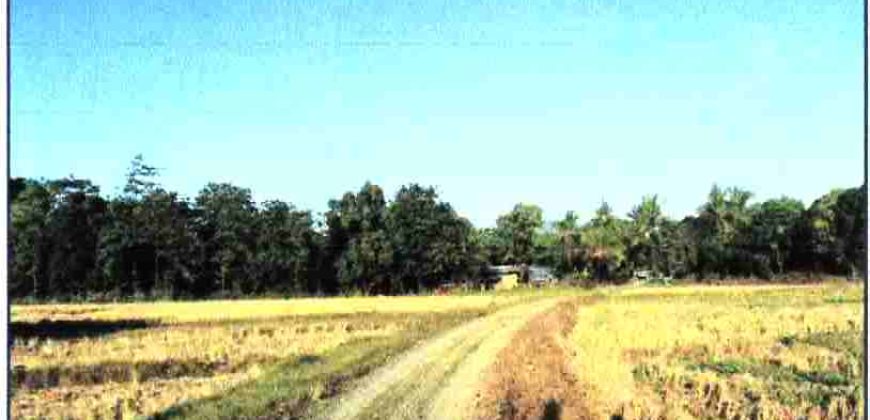 Foreclosed Residential Lot in San Jose, Occidental Mindoro