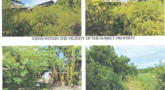 Foreclosed Agricultural Lot in Bago, Negros Occidental · Lot 454-B-4-A (Philippine Veterans Bank)
