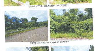 Foreclosed Residential Lot in Bais, Negros Oriental (Philippine Veterans Bank)