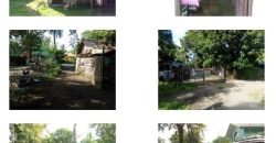 Foreclosed House and Lot in Pulupandan, Negros Occidental, Visayas