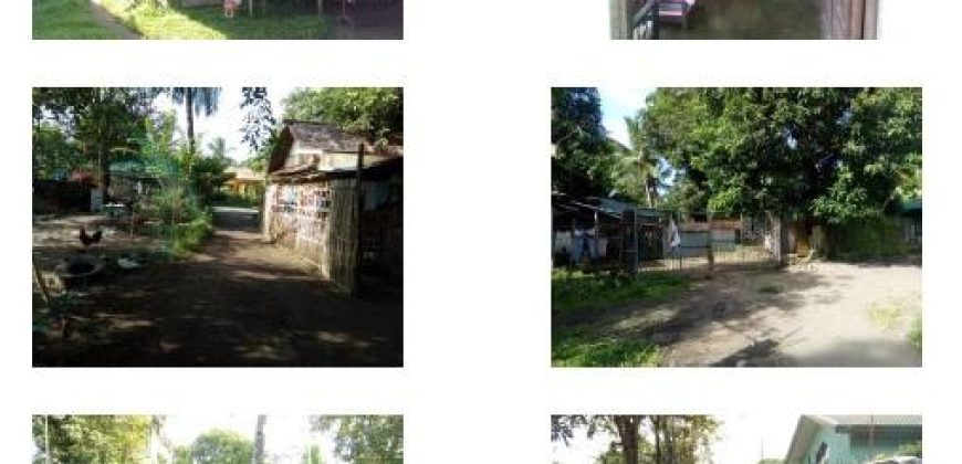 Foreclosed House and Lot in Pulupandan, Negros Occidental, Visayas
