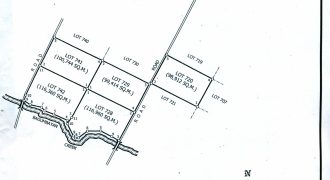 Foreclosed Agricultural Lot in Tubaran, Lanao del Sur · Lot 713 (Philippine Veterans Bank)