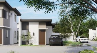 Amaia Scapes Bauan