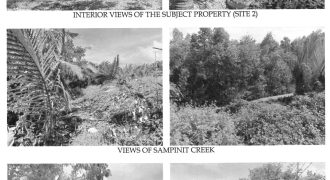 Foreclosed Agricultural Lot in Bago, Negros Occidental · Lot 458-C (Philippine Veterans Bank)