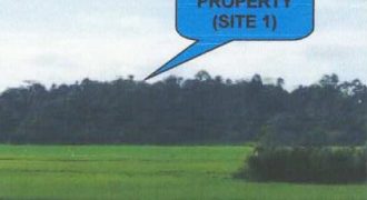 Foreclosed Agricultural Lot in Allacapan, Cagayan