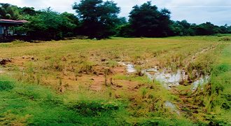 Foreclosed Residential Lot in San Jose, Occidental Mindoro