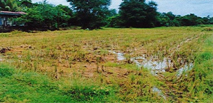 Foreclosed Residential Lot in San Jose, Occidental Mindoro
