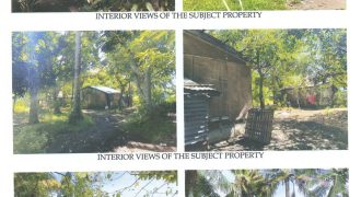 Foreclosed Residential Lot in Bago, Negros Occidental (Philippine Veterans Bank) #5