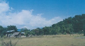 Foreclosed Agricultural Lot in Calintaan, Occidental Mindoro · Lots (Philippine Veterans Bank)