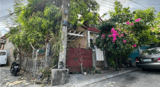Foreclosed House and Lot in Calamba, Laguna (Philippine Business Bank) #9