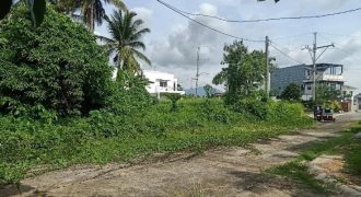 Foreclosed Residential Lot in San Pablo City