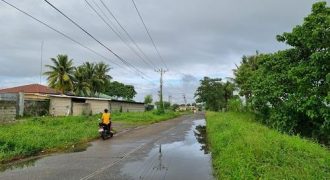 Foreclosed Property in City Of Cauayan City, Isabela (Philippine Business Bank)