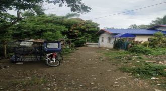 Foreclosed Residential Lot in Trece Martirez, Cavite (Philippine Business Bank)