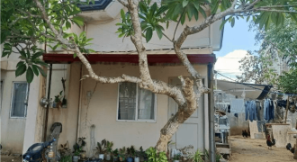 Foreclosed House and Lot in Calamba, Laguna (Philippine Business Bank) #12