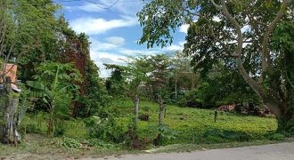 Foreclosed Residential Lot in Cebu (Philippine Business Bank)