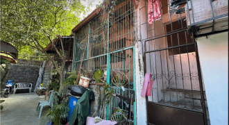 Foreclosed House and Lot in Calamba, Laguna (Philippine Business Bank) #11